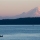 Land of Tall Trees and Fat Fish: My Cottage on Puget Sound